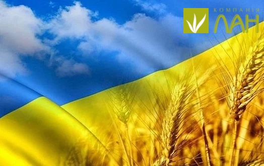 Детальніше про статтю Вітаємо з Днем Незалежності України!