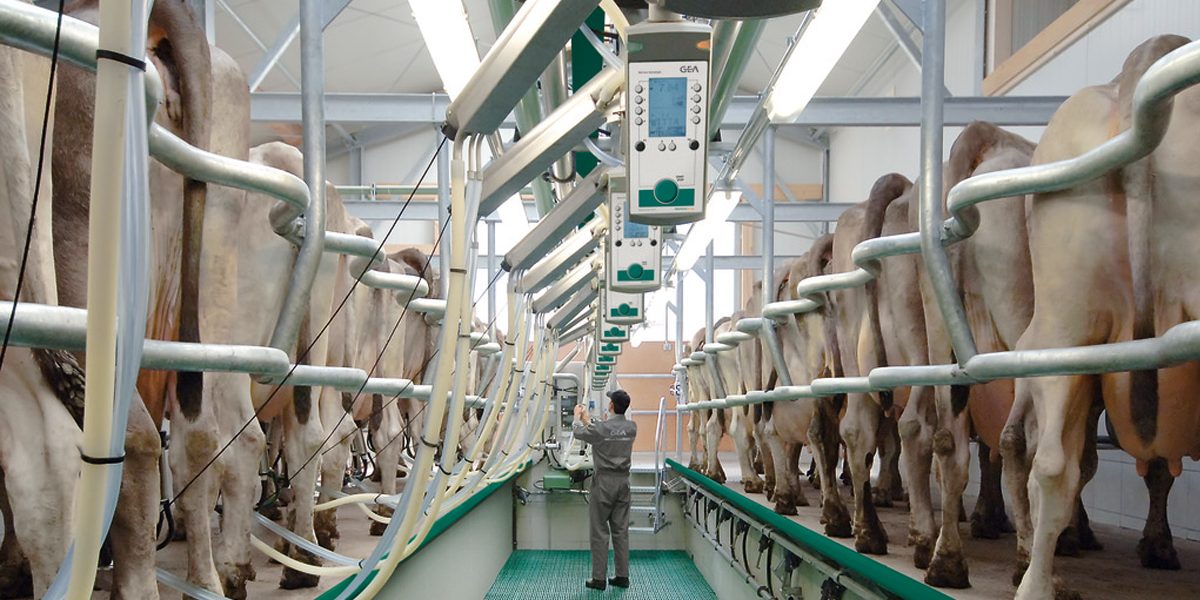 DairyFarming_SwingOver_PosiSwing_1_2_1200x675px_499742_tcm49